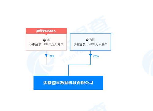 李斌投資成立蔚來數據公司，深化計算機系統集成服務布局