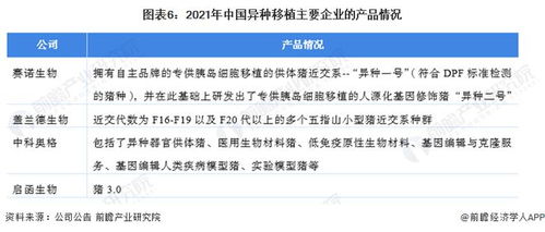 洞察2022 中國異種移植行業(yè)競爭格局深度解析——研發(fā)對比、投融資與業(yè)務(wù)布局盤點(diǎn)